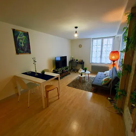 Cocon Zen En Plein Coeur Historique De Apartamento